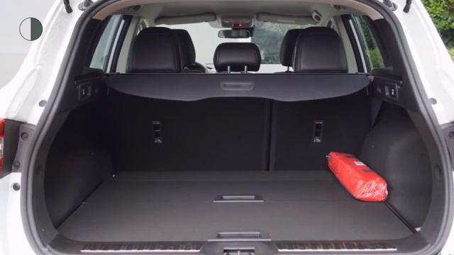 Renault Kadjar 1.6 dCi Bose (R-LINK/CAMERA/Treeplanken/19"LMV) смотреть онлайн