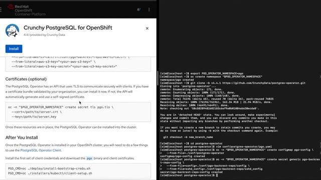 How to Deploy the PostgreSQL Operator in OpenShift смотреть онлайн