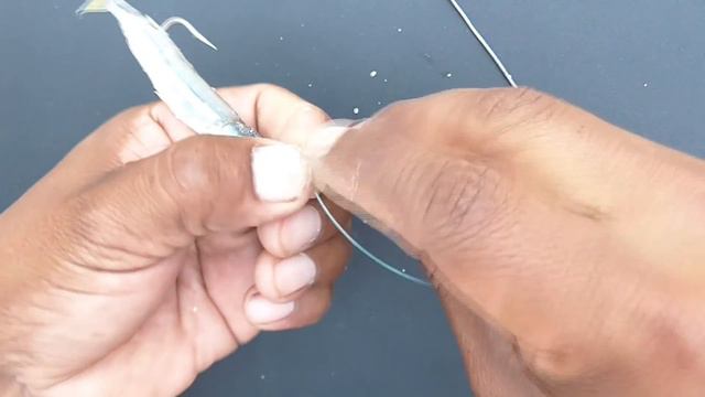 Como Encarnar PEJERREY Cebo para Pesca de Lenguados o chatos | Fácil y rápido смотреть онлайн