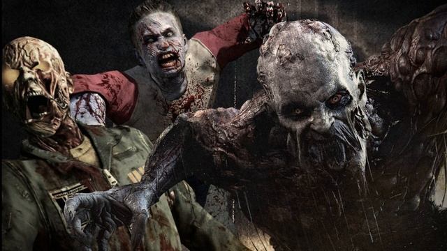 TACTICOOL ИГРЫ С ЗРИТЕЛЯМИ