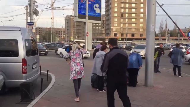 Видео нашествия насекомых в Красноярске смотреть онлайн