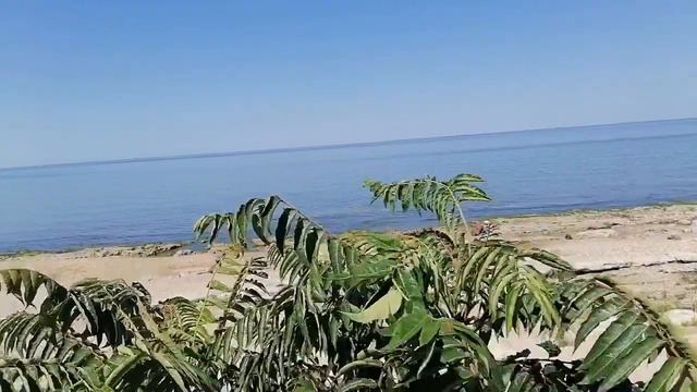 Куда уходит море? смотреть онлайн