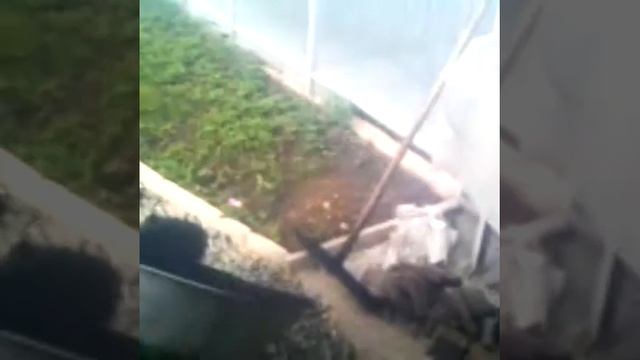 Асфальт во дворе своими руками. смотреть онлайн