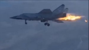 Миг-31 загорелся во время полета и разбился.