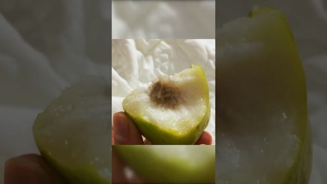 Фрукты Вьетнама: Жужуб / Зизифус / Китайский финик / Ююба/ Унаби | Moments&Places смотреть онлайн