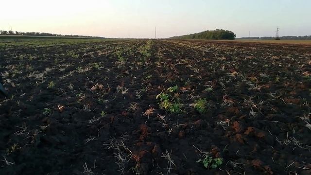 Температура жесть, красный уровень. Конец ночному дискованию. Мтз 82 выдержал жару. смотреть онлайн