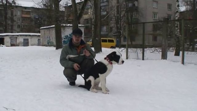 Урок №2. Начальная отработка команды 