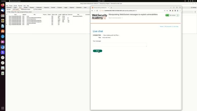 Manipulating WebSocket messages to exploit vulnerabilities смотреть онлайн