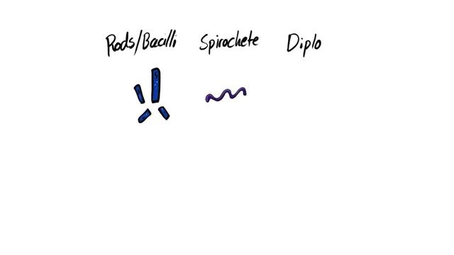 Introduction To Microbiology смотреть онлайн