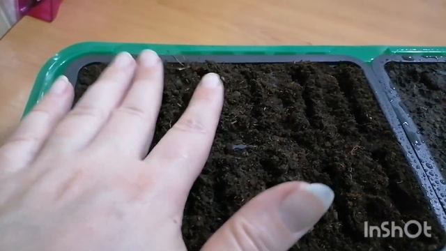 Коктейль с зеленью !Наглый кот !Лук порей и ночная красавица ! смотреть онлайн