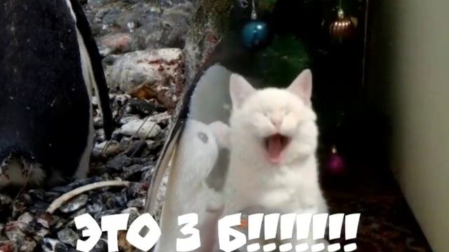 18 января 2019 г. смотреть онлайн