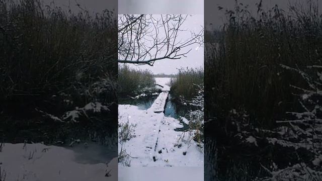 озеро Большое в Подклетном Природа Воронеж смотреть онлайн