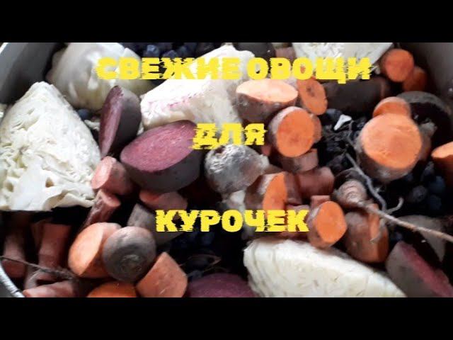 погода не балует. овощи для курочек... смотреть онлайн