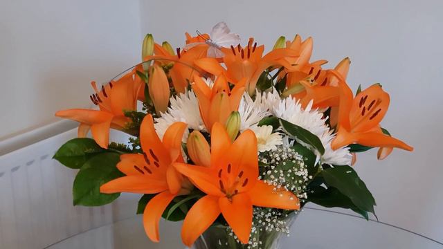 Orange lilies смотреть онлайн