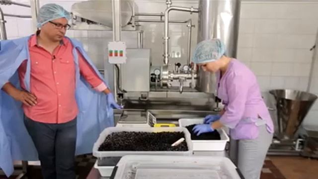 В Херсонской области нашли новый способ хранения черники | Ранок з Україною смотреть онлайн