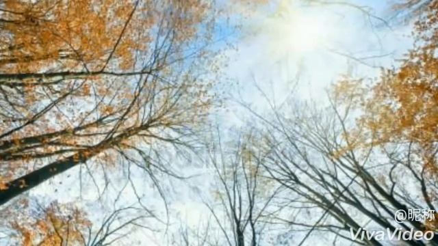 Песня про осень "Девочка Осень" смотреть онлайн
