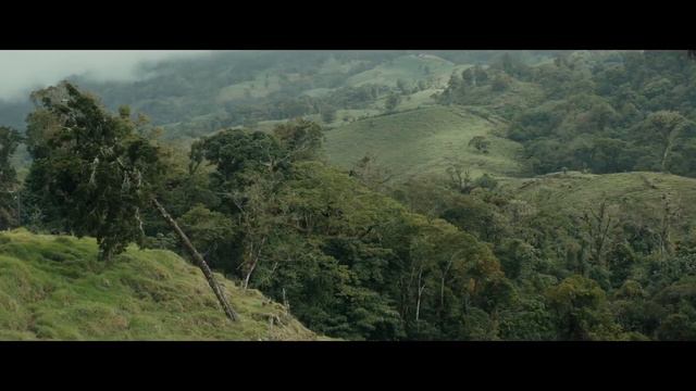 #25 New Movies with Trailers 6-24-22 смотреть онлайн