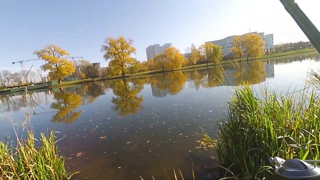 Что может универсальный спиннинг. Палка под ВСЁ! Flagman Blackfire. смотреть онлайн