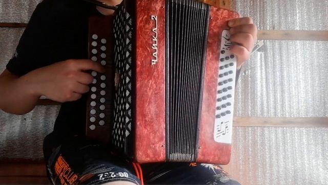 Разбор на гармони (частушки) смотреть онлайн