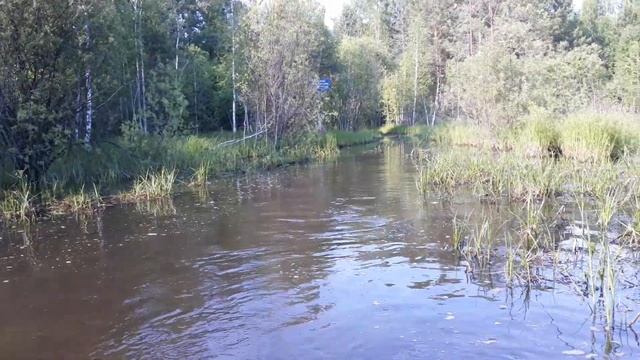 пакотушки на баги с жигулевским мотором смотреть онлайн