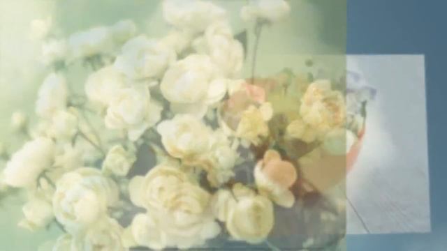 День рождения поздравления прикольные видео смотреть онлайн