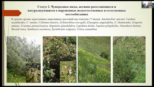 Об издании чёрной книги флоры республики Башкортостан смотреть онлайн