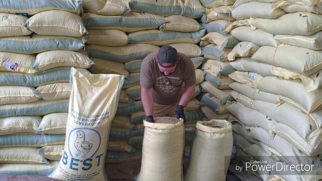 Финиш для бройлеров с натуральным красителем,миф или реальность. смотреть онлайн