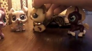 Играем в игру глухой телефон!