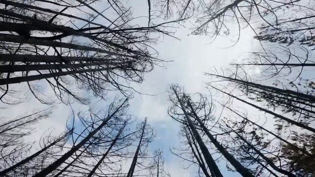 Год, в котором придёт ДАДЖАЛЬ (АНТИХРИСТ) смотреть онлайн
