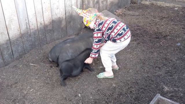 Готовлюсь к защите //Стукнули машину// В огороде с семьей смотреть онлайн