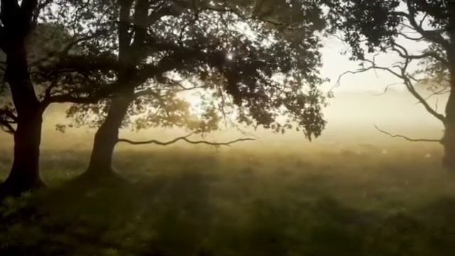 Молитесь этими молитвами ежедневно. Молитва. Христианство. Истина. Религия Мира. смотреть онлайн