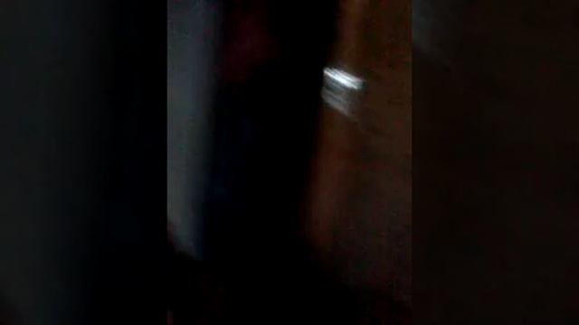 Летние приключения 1 часть описание дачи