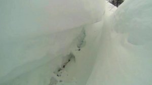 Гистологическая экспертиза срубила под корень выводы судмедэксперта Возрожденного