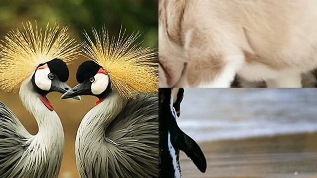 Признание в любви. Когда все понятно без слов. смотреть онлайн