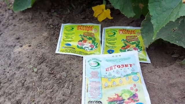 Проверенные схемы для снятия стресса у растений смотреть онлайн