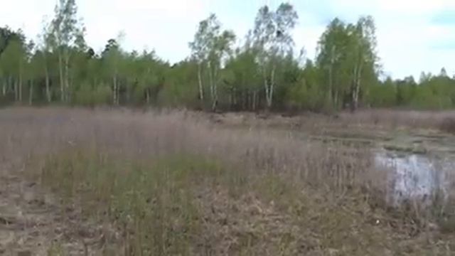 Родное место ГУО ,,Базовая школа 5 г.Калинковичи,, смотреть онлайн