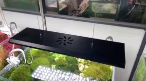 WEEK AQUA Pandora P series led aquarium planted lamp video