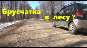 #63 Прогулка по лесу