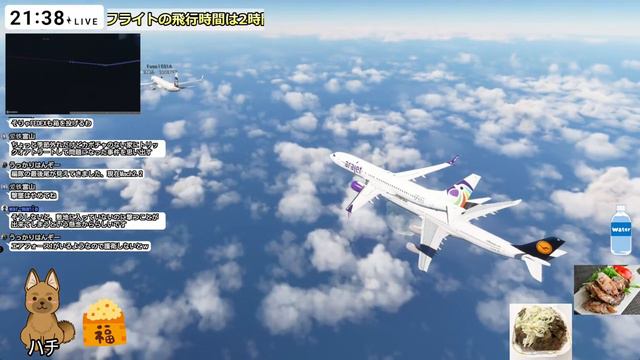 プンタ・カナ ～ サングスター| マルチフライト | B738 | Chap.236【MSFS 2020】 смотреть онлайн