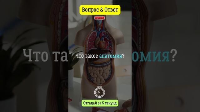 Что такое анатомия? #вопросответ #анатомия #тело #человек #организм смотреть онлайн