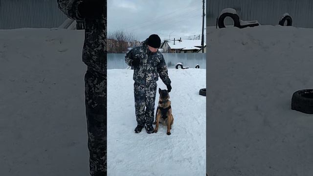 кинологи ФСИН смотреть онлайн