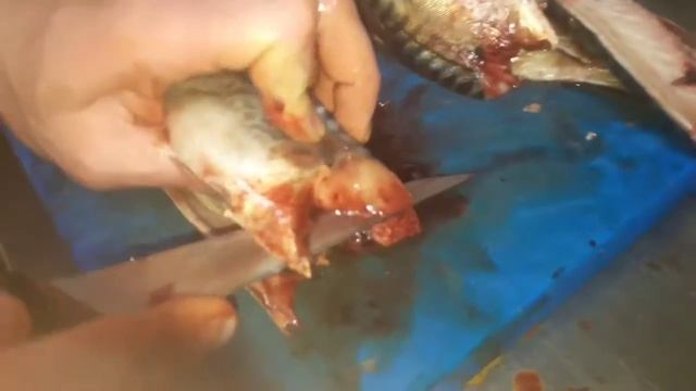 Разделываем (филируем) рыбу. смотреть онлайн