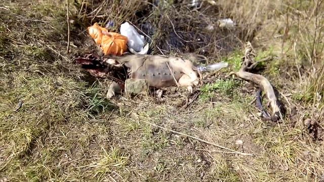 18+ молекулярная биология, тонкие связи, дадим угля? смотреть онлайн