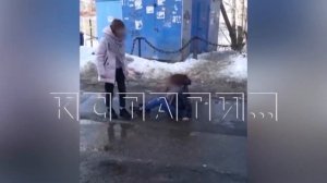 Девочка,зверски избившая подругу перед сверстниками - не раскаялась даже под угрозой уголовного дел