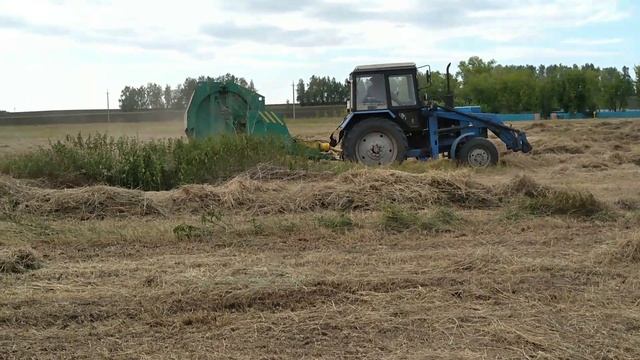 Трактор Т 40М ворошит, МТЗ 82 рулонит, заготовка сена 2021 смотреть онлайн