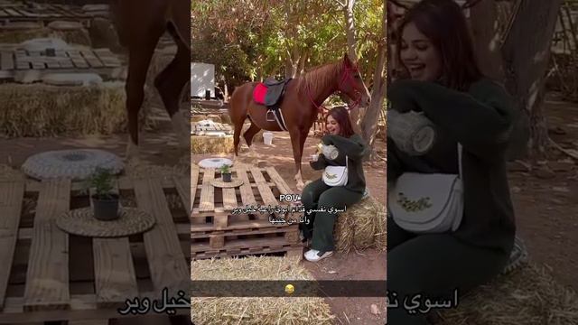 ساره مهند #sarah #starrail #mohannad_obaidy смотреть онлайн