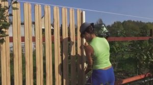 Обила забор металлическим штакетником. Заменила деревянную слегу у забора.