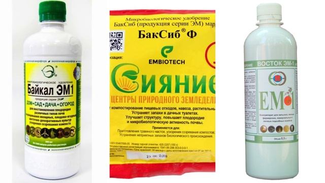 Cамый лучший грунт для выращивания рассады овощей и цветов своими руками. Живой грунт для рассады смотреть онлайн