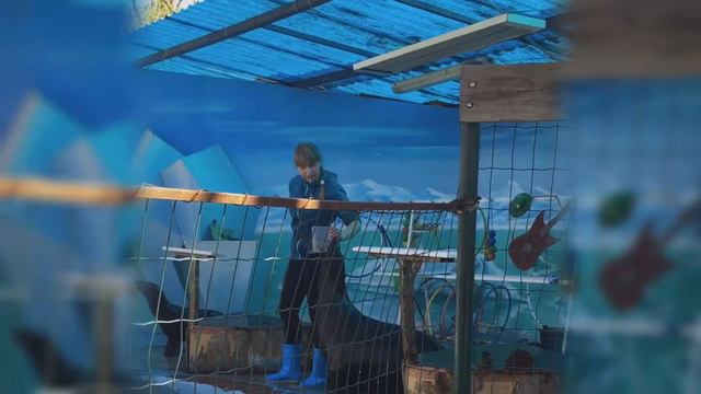 Краснодар смотреть онлайн