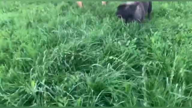 Двенадцать лет в приюте. Два года дома. Сколько же ей лет